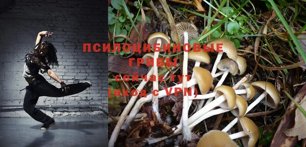 молекула духа Магас