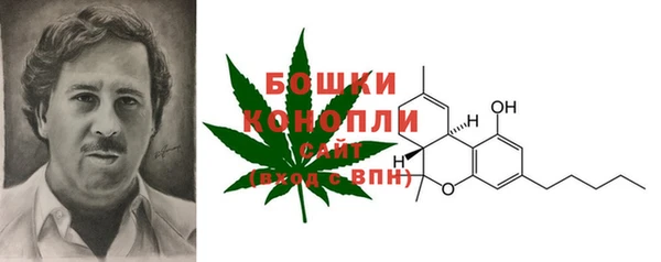 молекула духа Магас
