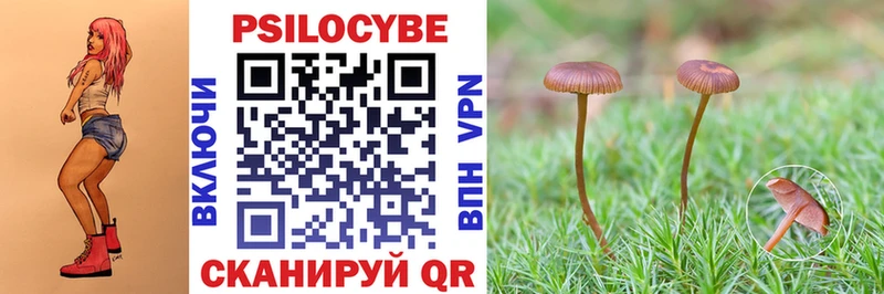 купить наркоту  Руза  Галлюциногенные грибы GOLDEN TEACHER 